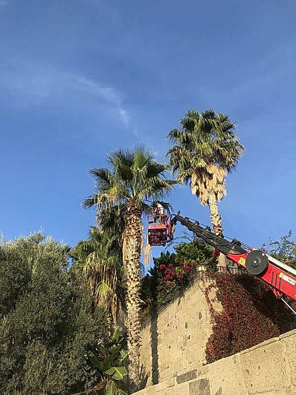 Bodrumda Peyzaj Danışmanlık hizmetleri